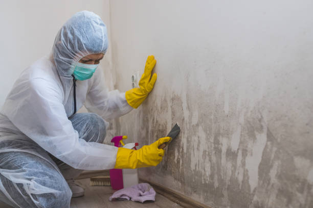 Best HVAC Mold Inspection and Cleaning  in Sparta, MO