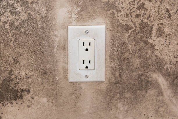 Mold Documentation for Insurance Claims in Sparta, MO